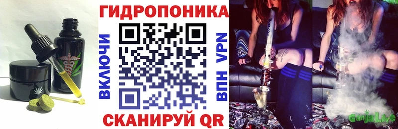 hydra ССЫЛКА  Миллерово  Cannafood конопля 