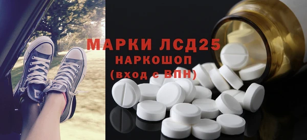 ПСИЛОЦИБИНОВЫЕ ГРИБЫ Алзамай