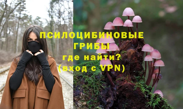 ПСИЛОЦИБИНОВЫЕ ГРИБЫ Алзамай