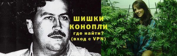 ПСИЛОЦИБИНОВЫЕ ГРИБЫ Алзамай