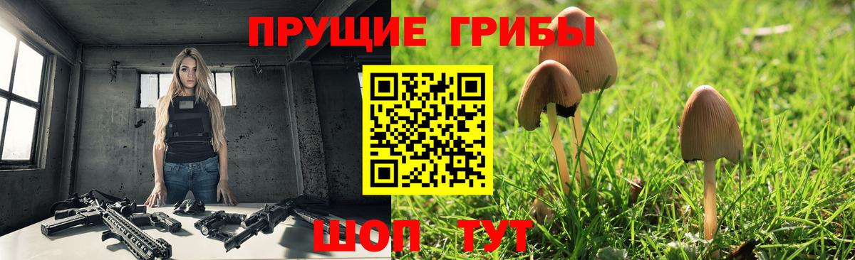 Галлюциногенные грибы Psilocybine cubensis Миллерово