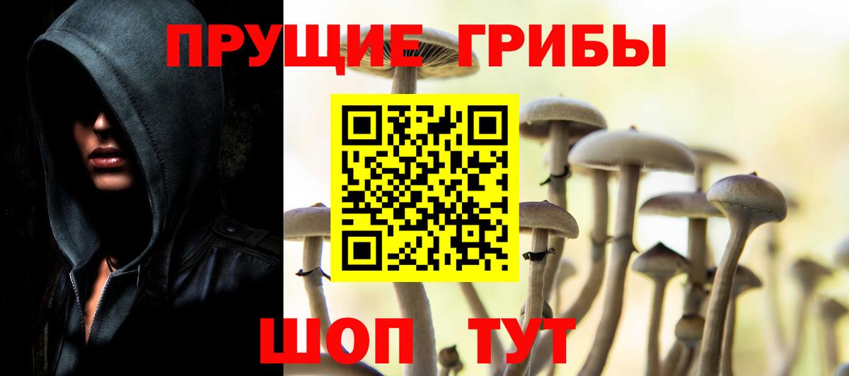 Миллерово  Галлюциногенные грибы Magic Shrooms  наркошоп  Вход с VPN 